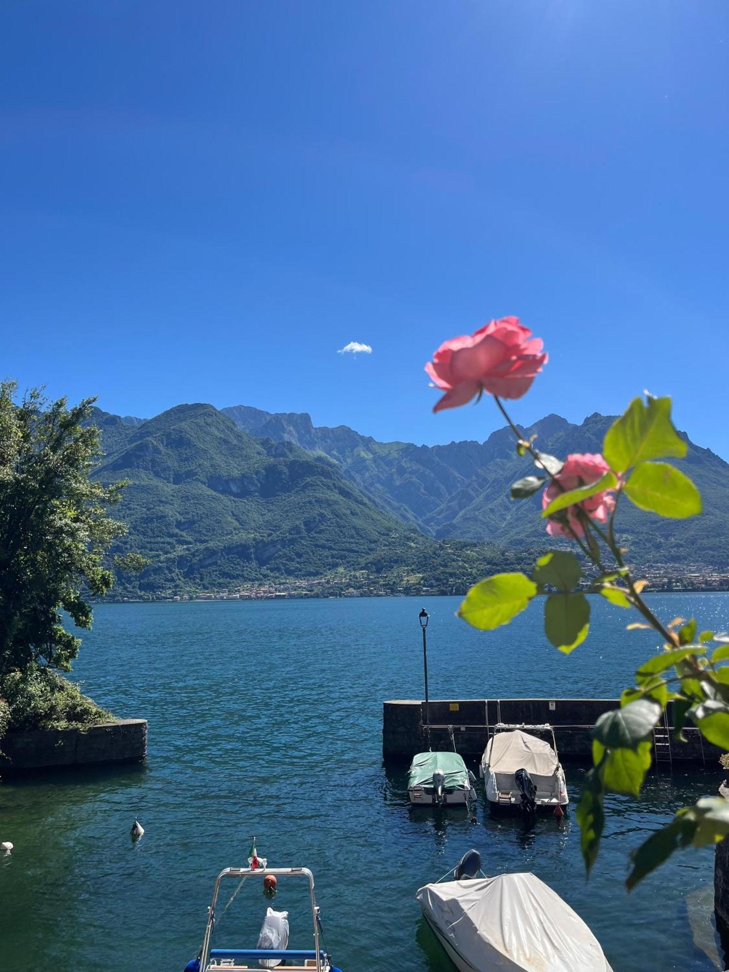 Domus Graziana - Lake Front Oliveto Lario Dış mekan fotoğraf